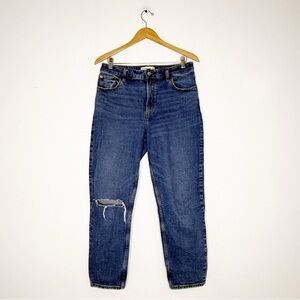 Abercrombie & Fitch Curve Love The Mom Jeans High Rise Distressed Size 29/8